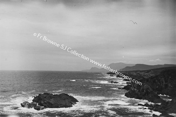 WILD COASTAL SCENES ON ATLANTIC DRIVE